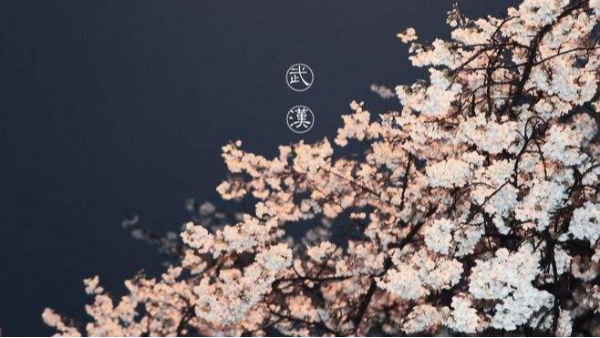 武漢，我們又見(jiàn)面了